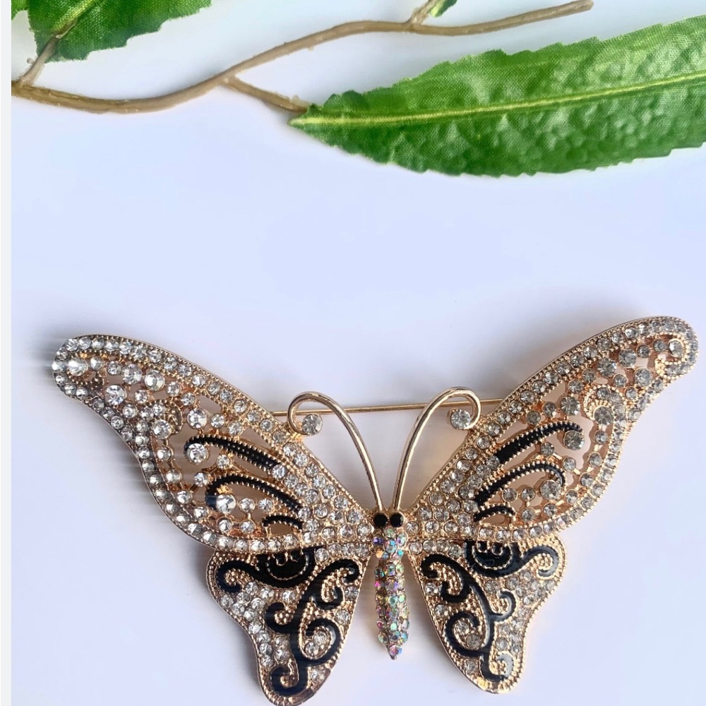 The beautiful butterfly brooch